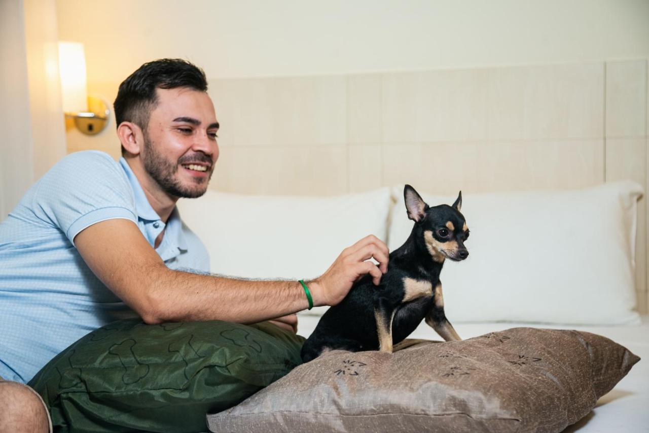 Ibis Styles Belem Batista Campos Hotel Bagian luar foto